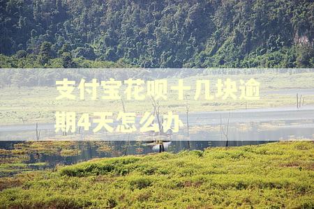 支付宝花呗十几块逾期4天怎么办