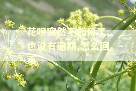 花呗突然不能用了,也没有逾期,怎么回事