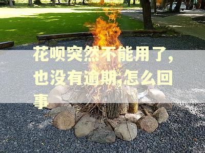 花呗突然不能用了,也没有逾期,怎么回事