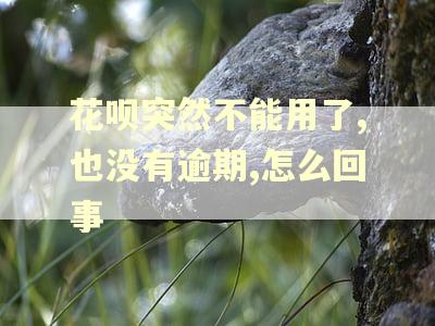 花呗突然不能用了,也没有逾期,怎么回事 花呗突然不能用了,也没有逾期,怎么回事