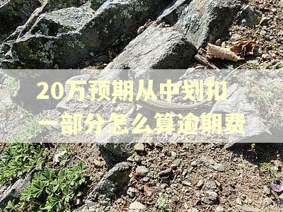 20万预期从中划扣一部分怎么算逾期费