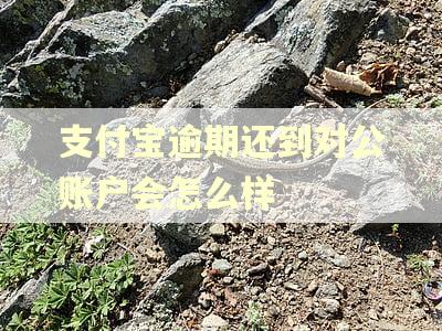 支付宝逾期还到对公账户会怎么样