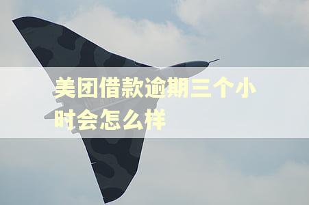 美团借款逾期三个小时会怎么样