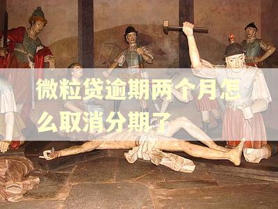 微粒贷逾期两个月怎么取消分期了