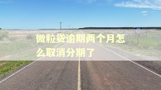 微粒贷逾期两个月怎么取消分期了