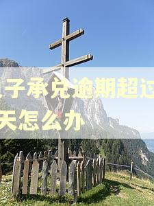 电子承兑逾期超过10天怎么办