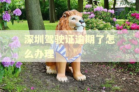 深圳驾驶证逾期了怎么办理