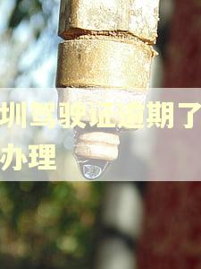 深圳驾驶证逾期了怎么办理