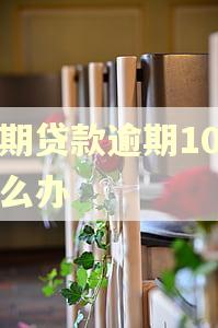 分期贷款逾期10天怎么办