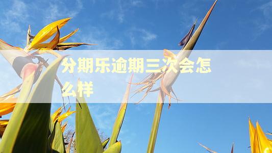 分期乐逾期三次会怎么样