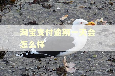 淘宝支付逾期一天会怎么样 淘宝支付逾期一天会怎么样