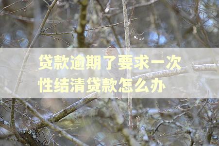 贷款逾期了要求一次性结清贷款怎么办