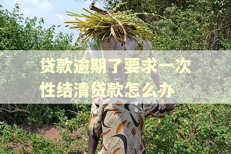 贷款逾期了要求一次性结清贷款怎么办 贷款逾期了要求一次性结清贷款怎么办
