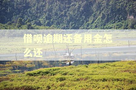 借呗逾期还备用金怎么还
