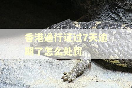 香港通行证过7天逾期了怎么处罚
