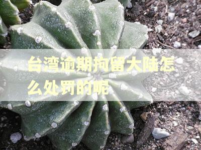 台湾逾期拘留大陆怎么处罚的呢