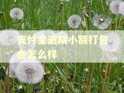 支付宝逾期小额打包会怎么样