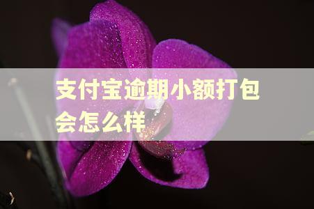 支付宝逾期小额打包会怎么样