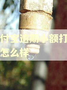 支付宝逾期小额打包会怎么样