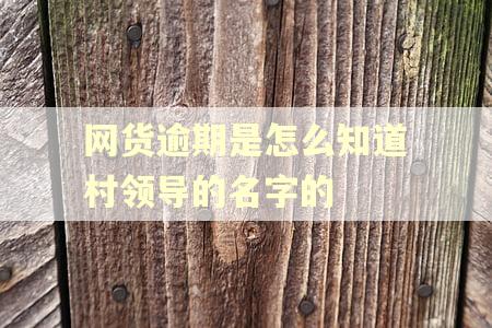 网货逾期是怎么知道村领导的名字的