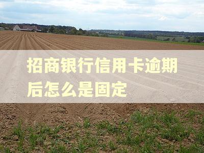 招商银行信用卡逾期后怎么是固定