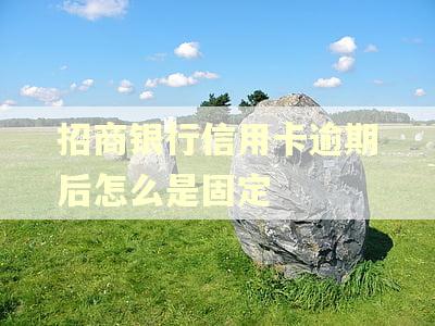 招商银行信用卡逾期后怎么是固定
