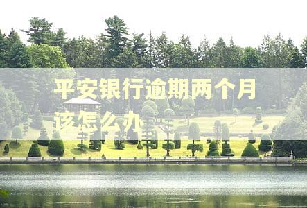 平安银行逾期两个月该怎么办 平安银行逾期两个月该怎么办