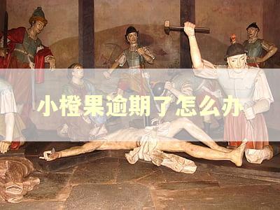 小橙果逾期了怎么办