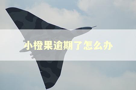 小橙果逾期了怎么办