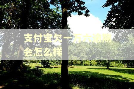 支付宝欠一万六逾期会怎么样