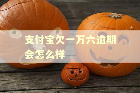 支付宝欠一万六逾期会怎么样