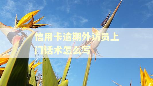 信用卡逾期外访员上门话术怎么写