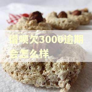 借呗欠3000逾期会怎么样