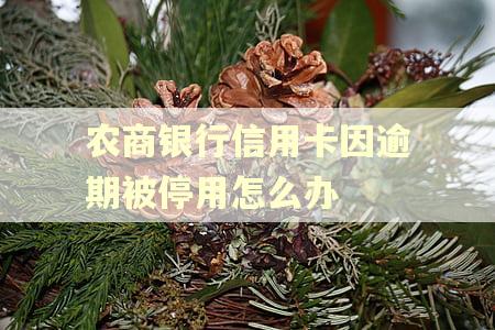 农商银行信用卡因逾期被停用怎么办