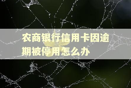 农商银行信用卡因逾期被停用怎么办