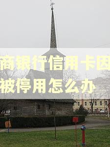农商银行信用卡因逾期被停用怎么办