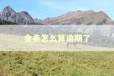 金条怎么算逾期了