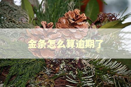 金条怎么算逾期了