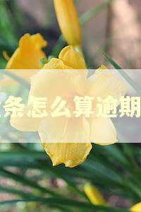 金条怎么算逾期了 金条怎么算逾期了