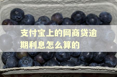 支付宝上的网商贷逾期利息怎么算的