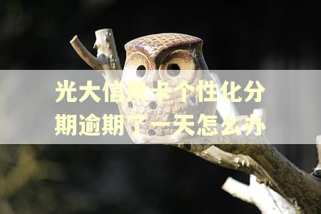 光大信用卡个性化分期逾期了一天怎么办