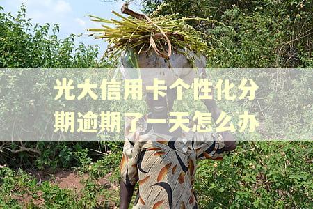 光大信用卡个性化分期逾期了一天怎么办