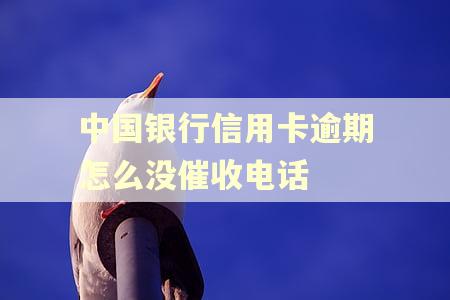 中国银行信用卡逾期怎么没催收电话