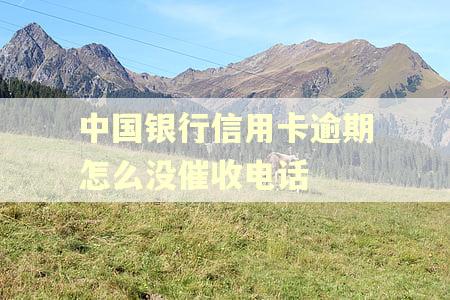 中国银行信用卡逾期怎么没催收电话