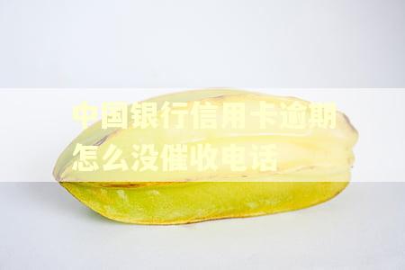 中国银行信用卡逾期怎么没催收电话