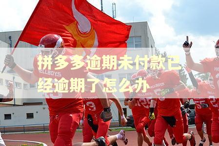 拼多多逾期未付款已经逾期了怎么办