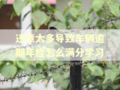 违章太多导致车辆逾期年检怎么满分学习