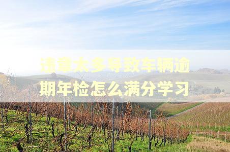 违章太多导致车辆逾期年检怎么满分学习