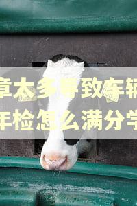 违章太多导致车辆逾期年检怎么满分学习 违章太多导致车辆逾期年检怎么满分学习