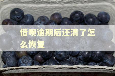 借呗逾期后还清了怎么恢复